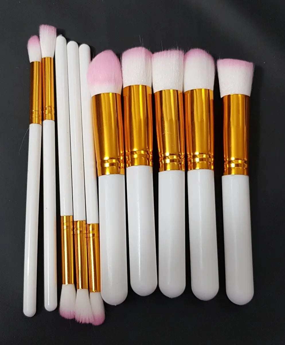Kit de Brochas ×10