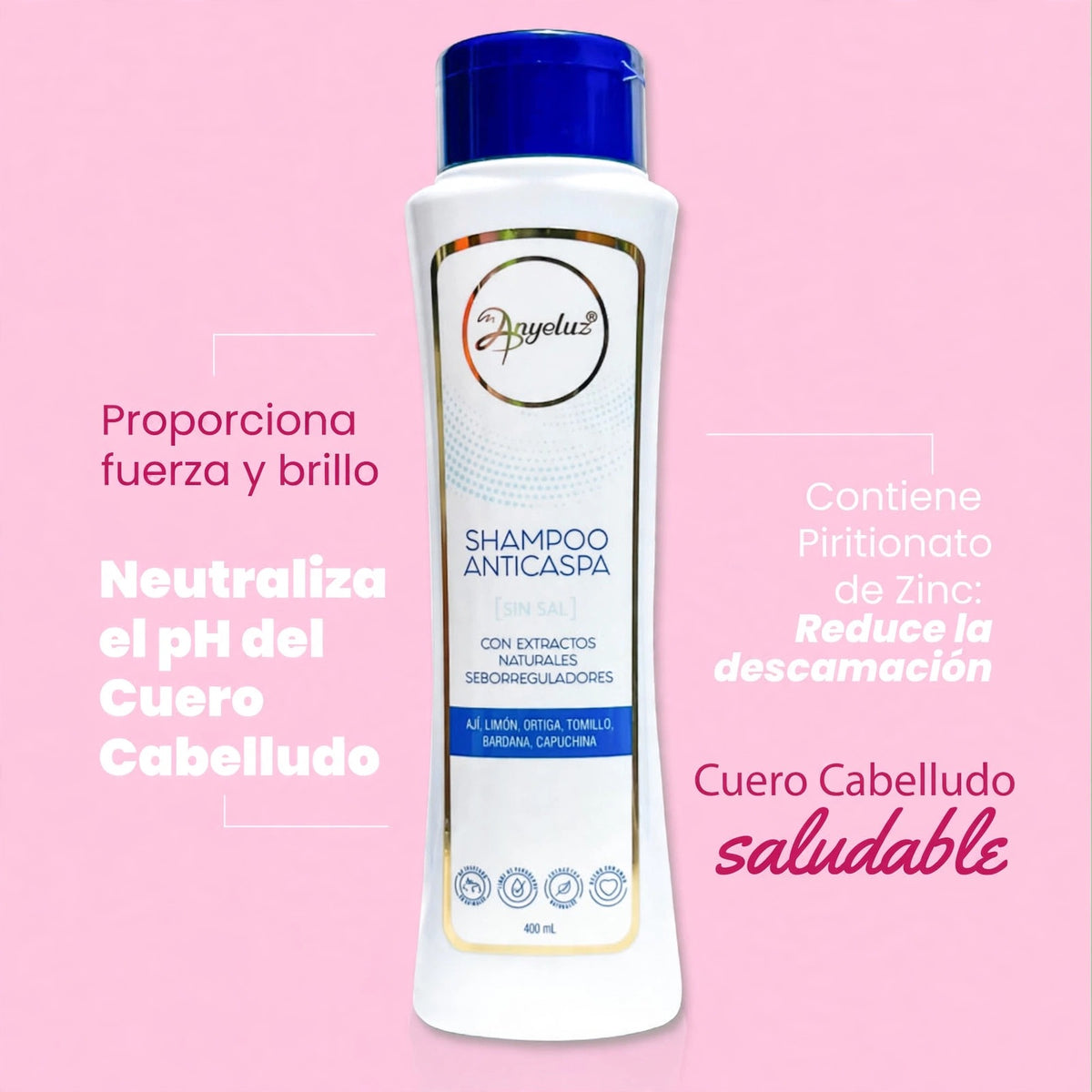 Shampoo Anticaspa Anyeluz