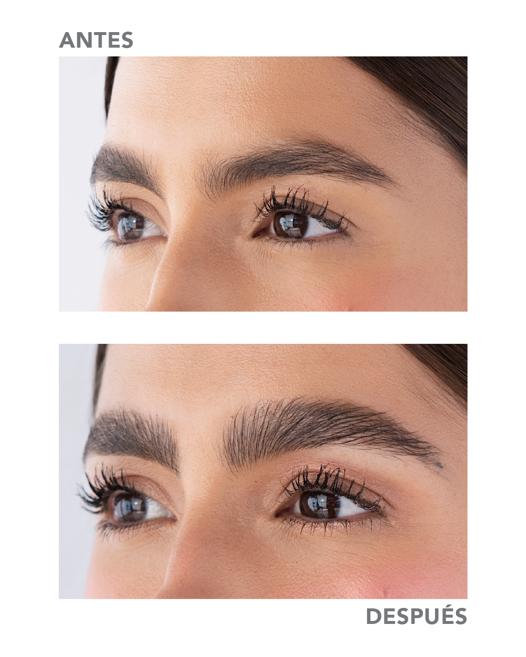 Gel para cejas Ruby Rose