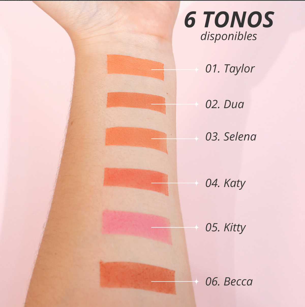 Rubor Blush  bonita  ANI-K