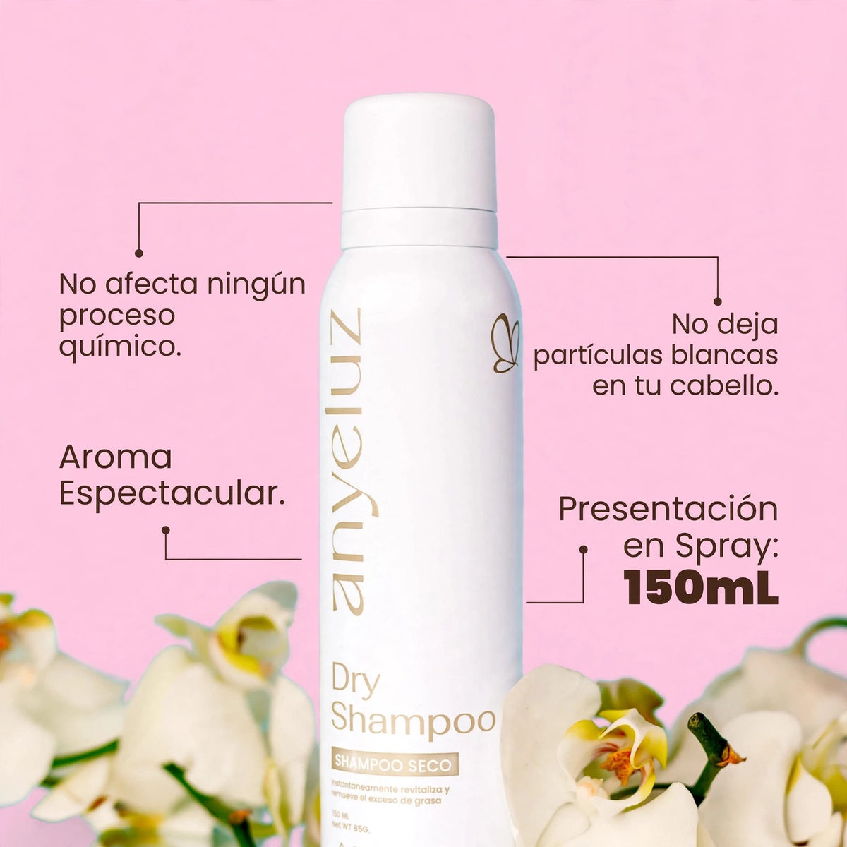 Shampoo Seco de Anyeluz
