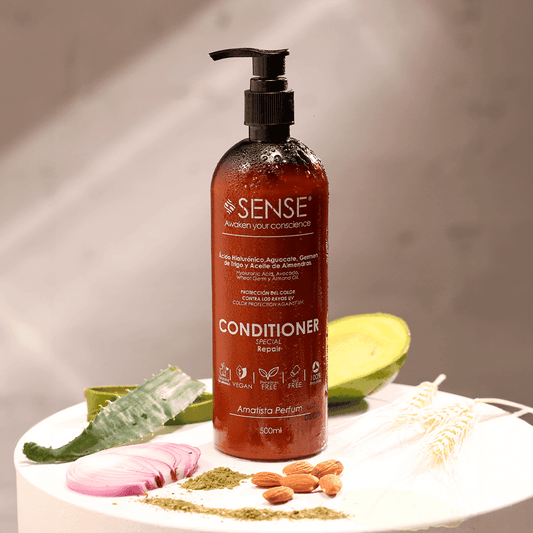 Conditioner Special Repair Amatista Perfum x 500 mL