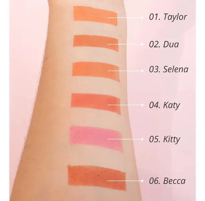 Rubor Blush  bonita  ANI-K
