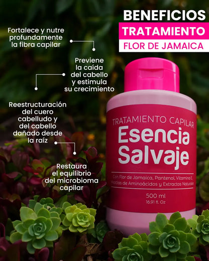 Tratamiento capilar con Flor de Jamaica