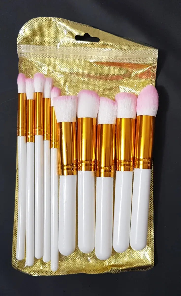 Kit de Brochas ×10