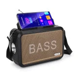 Radio NANOTEC NT-P2446