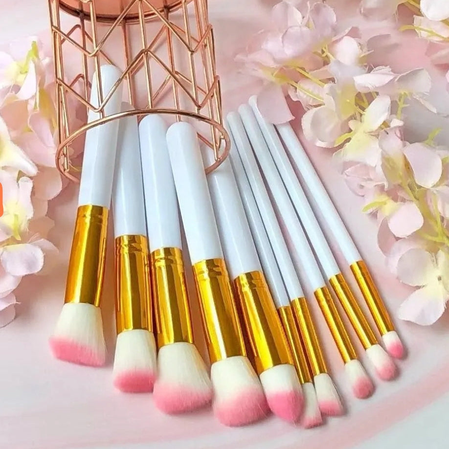Kit de Brochas ×10