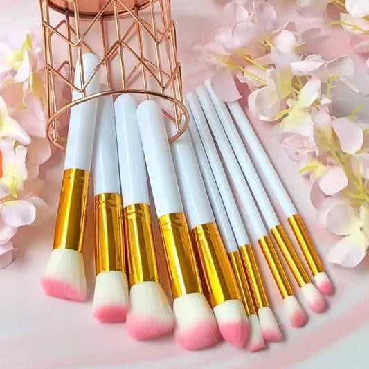 Kit de Brochas ×10