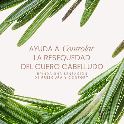 Aceite capilar de romero y menta Anyeluz