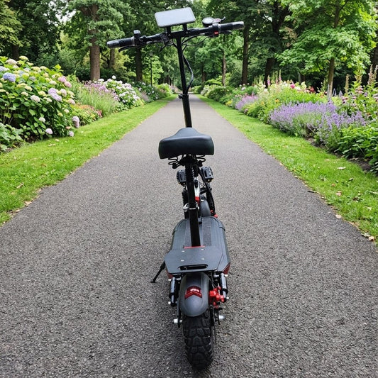 Patineta eléctrica 11G