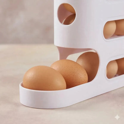 Organizador de huevos