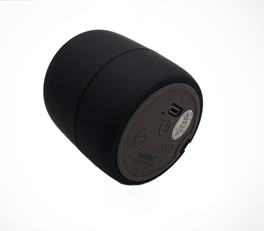 Mini parlante Wster ws-806